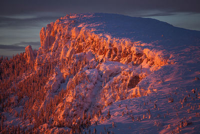 Winter landscapes from carpathian mountains