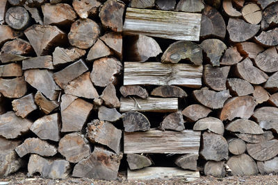 Full frame shot of logs in forest