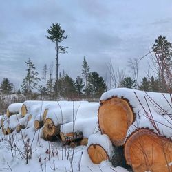 Snow on field against sky during winter