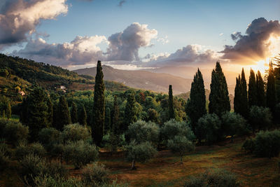 Panoramic view of landscape against sky during sunset