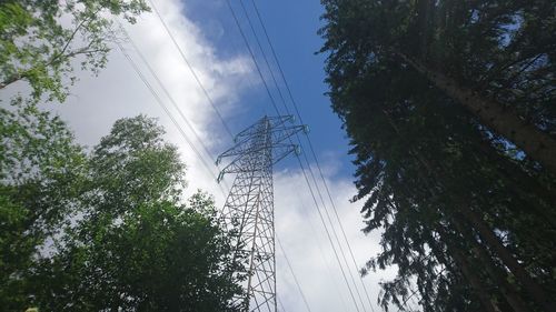 Low angle view of trees against sky