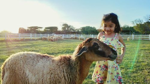 A little girl standing smiling and looking at the sheep on the farm