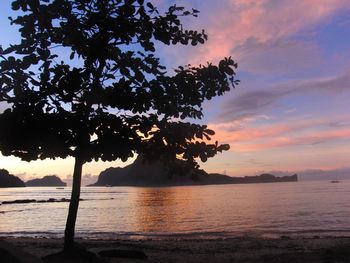 Silhouette tree by sea against sky during sunset