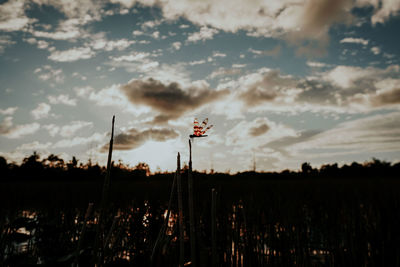 Scenic view of field against sky during sunset