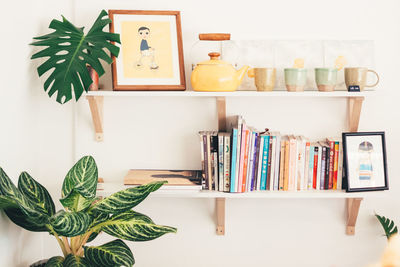 Potted plant with books and cups arranged on shelves at home