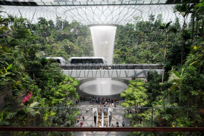 Bridge in greenhouse