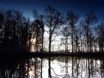 Reflection of trees in lake against sky during sunset