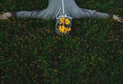 Directly above shot of man with yellow flowers on face at grassy field