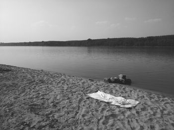 Swan on beach against sky