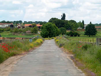 Road amidst trees against sky