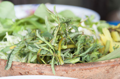 Close-up of served food