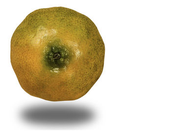 Close-up of apple against white background