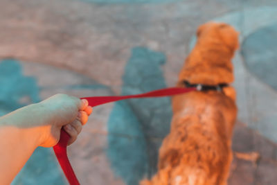 Close-up of hand holding rope