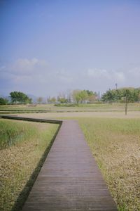 Scenic view of field against clear sky