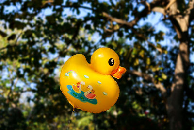 Close-up of stuffed toy hanging on tree
