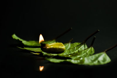 Close-up of burning candle against black background