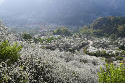 High angle view of landscape