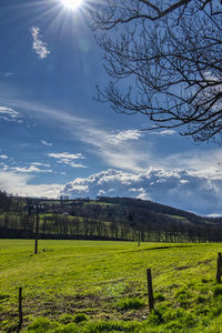 Scenic view of field against sky