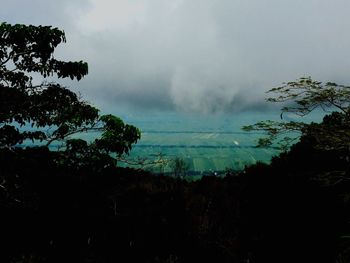 Scenic view of dramatic sky over trees