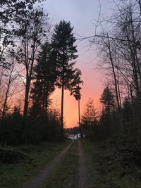 Silhouette trees by road against sky during sunset