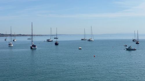 Sailboats sailing on sea against sky