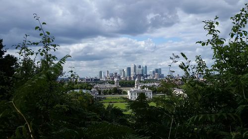 Trees and cityscape against sky