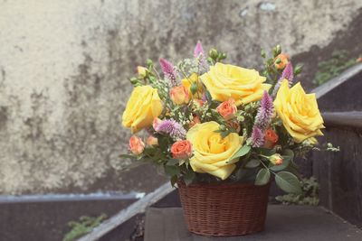 Close-up of yellow flowers in pot