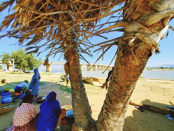 Rear view of people sitting on tree trunk