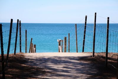 Wooden posts on beach with seagull against water and sky