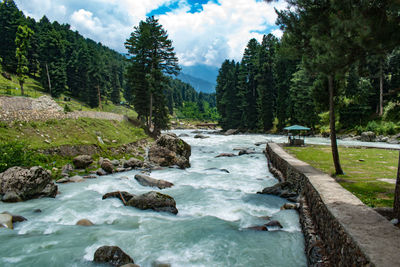 A beautiful view of lidder river surrounded by beautiful pine trees at pahalgam kashmir,india.