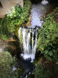 Scenic view of waterfall in forest