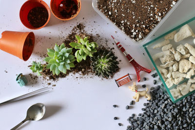 High angle view of succulent plants with stones at eiffel tower replica on table