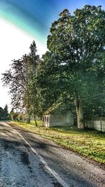 Road by trees against sky