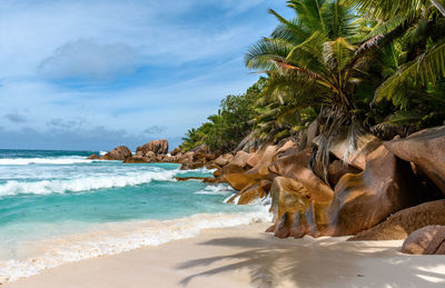 Idyllic tropical beach with sea waves and green palm trees on sunny day in summer.