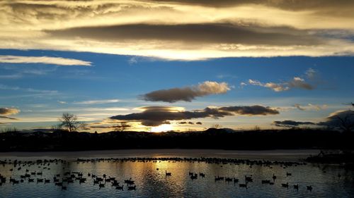 Scenic view of lake at sunset