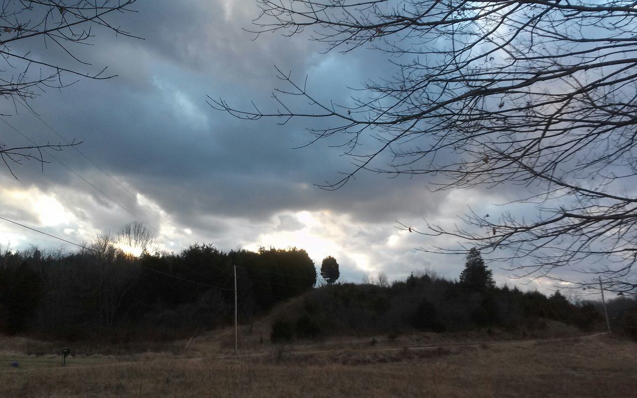 sky, cloud - sky, tranquility, cloudy, tranquil scene, tree, landscape, scenics, nature, cloud, beauty in nature, field, bare tree, weather, overcast, non-urban scene, silhouette, outdoors, growth, no people