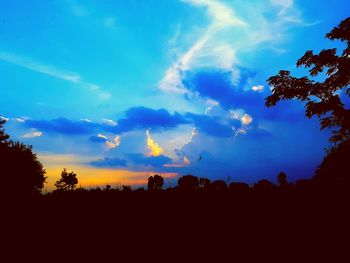 Low angle view of silhouette trees against sky