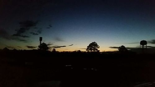 Silhouette of trees at night