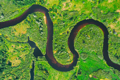 High angle view of rusty metal on tree