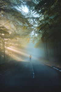 Rear view of man walking on road during foggy weather