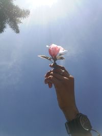 My hand and my flower