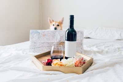 Dog by wine on bed at home