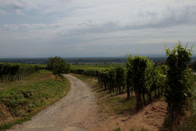 Dirt road amidst field against sky