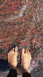 Low section of woman standing on rock