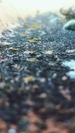 Close-up of surface level of white surface