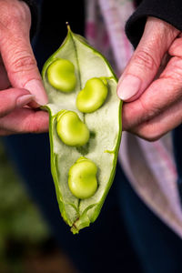 Close-up of hand holding fruit