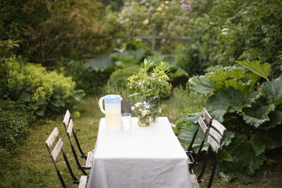 High angle view of potted plant
