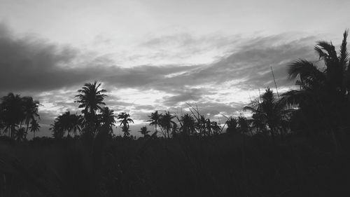 Silhouette trees against sky