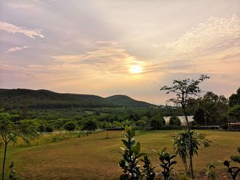 Scenic view of field against sky during sunset