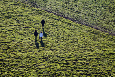 High angle view of woman walking on field